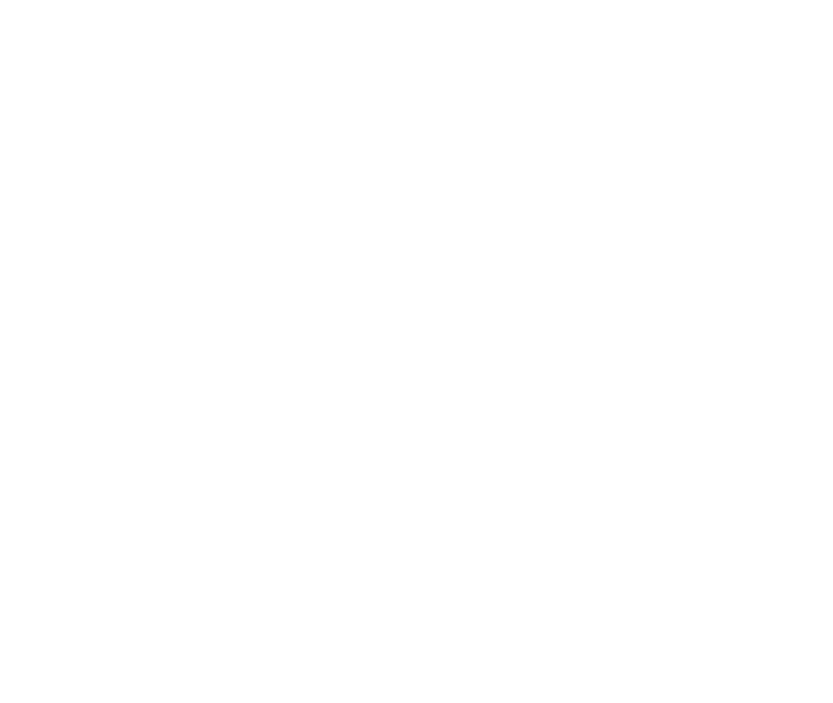 logo white 10pct 2